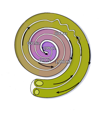 Ein Bild, das Spirale, Kreis, Vortex, Kunst enthält.

Automatisch generierte Beschreibung