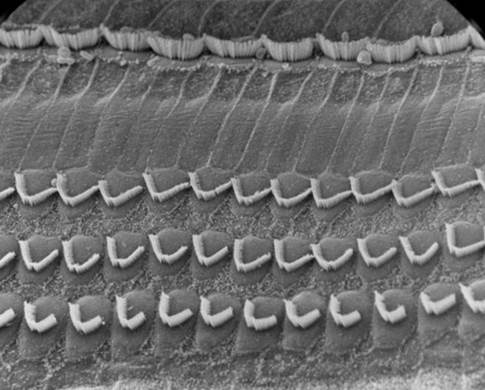 Ein Bild, das monochrom, monochrome Fotografie, Schwarzweiß enthält.

Automatisch generierte Beschreibung